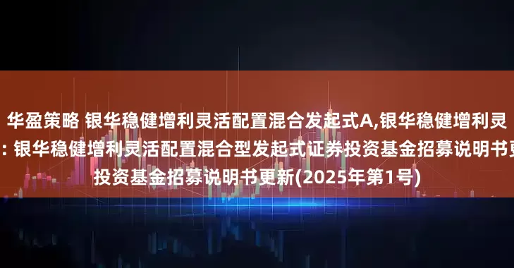 华盈策略 银华稳健增利灵活配置混合发起式A,银华稳健增利灵活配置混合发起式C: 银华稳健增利灵活配置混合型发起式证券投资基金招募说明书更新(2025年第1号)