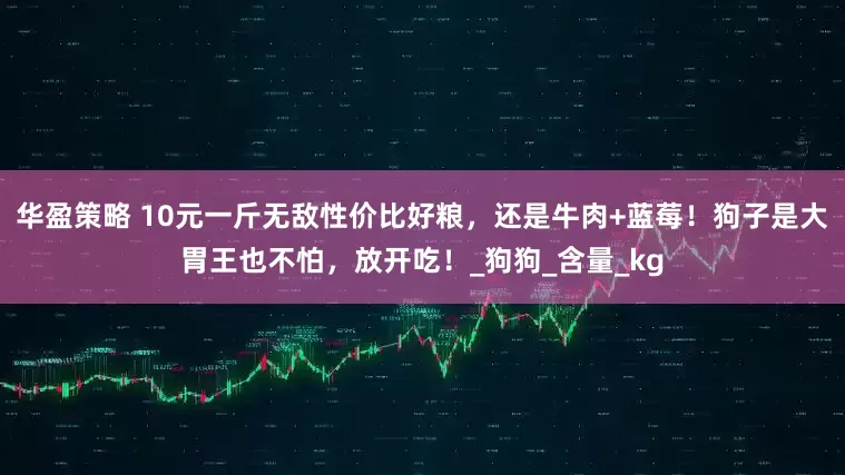 华盈策略 10元一斤无敌性价比好粮，还是牛肉+蓝莓！狗子是大胃王也不怕，放开吃！_狗狗_含量_kg