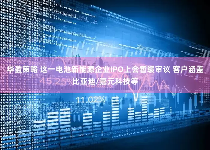 华盈策略 这一电池新能源企业IPO上会暂缓审议 客户涵盖比亚迪/嘉元科技等